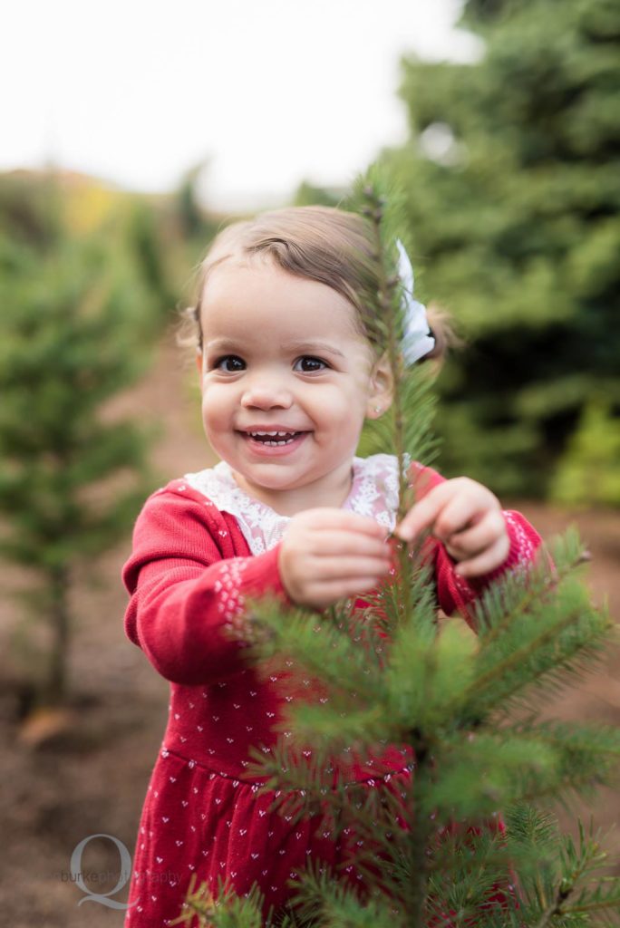 child at christmas tree farm