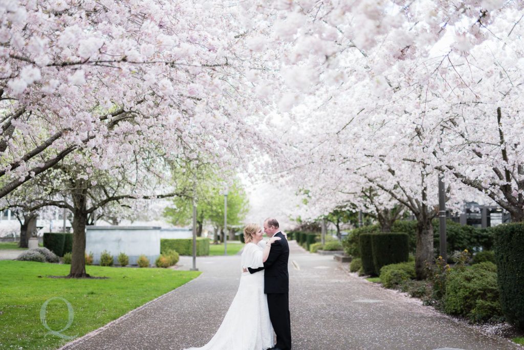 bride groom wedding portrait cherry blossoms