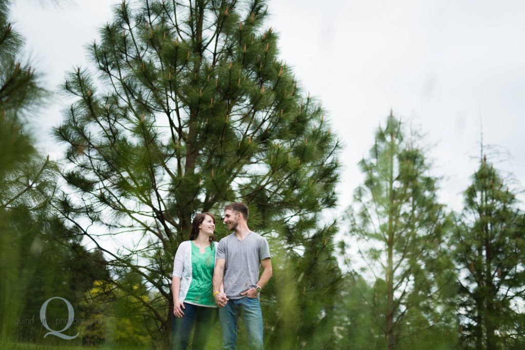 engaged couple and trees