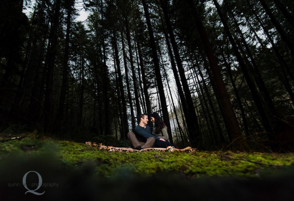 engagement photo picnic