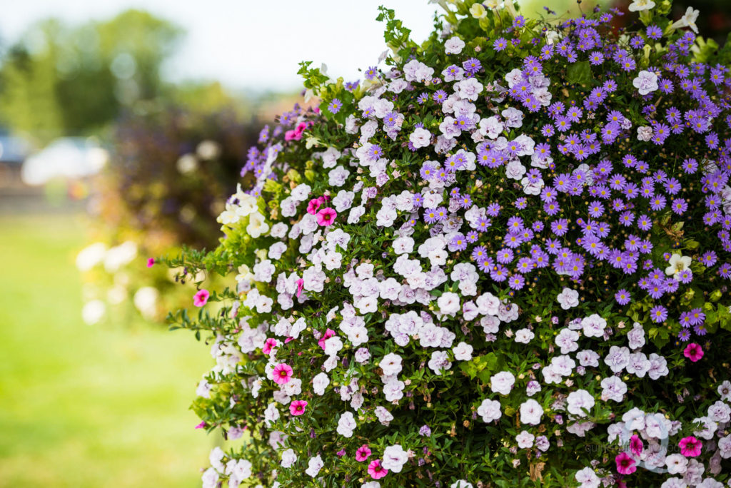 wedding flowers