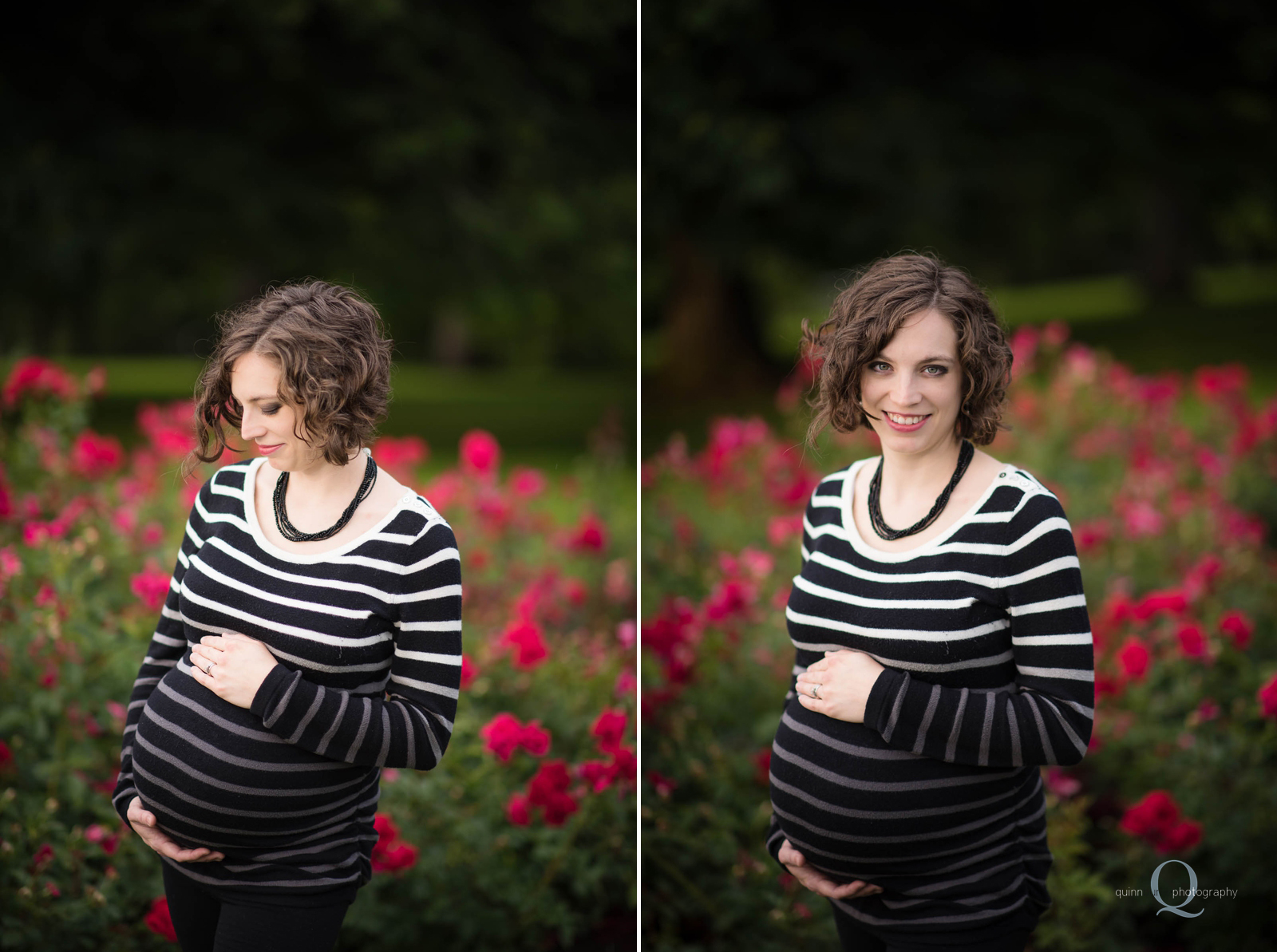 maternity photos in rose garden