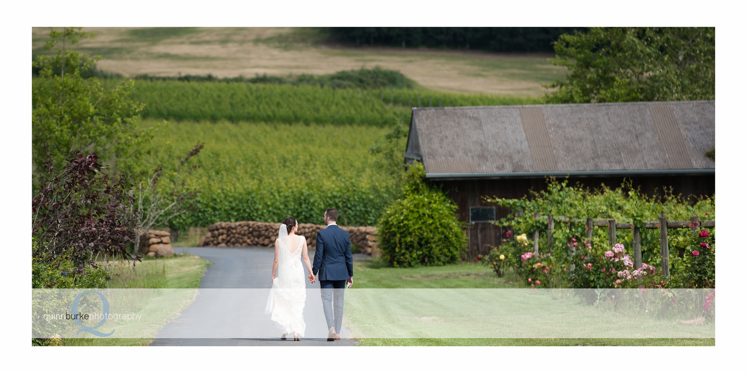 Bride and groom walking in vineyard
