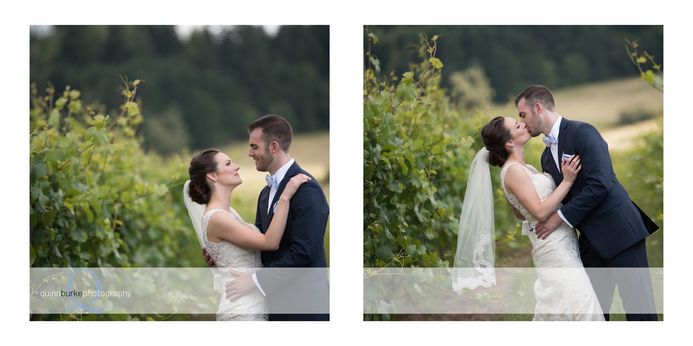 bride and groom in zenith vineyard