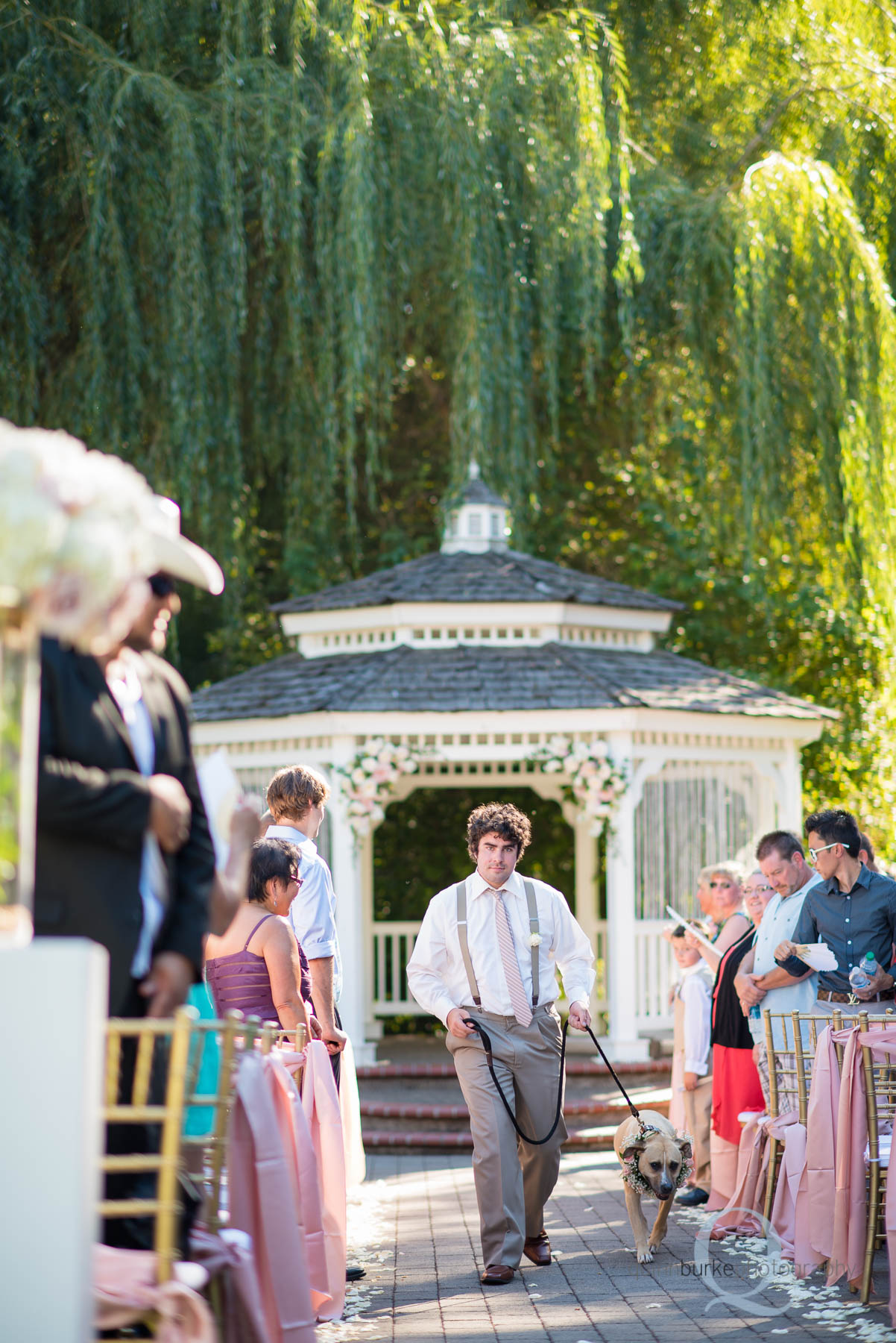 Abernethy Center Portland Wedding dog walking down aisle