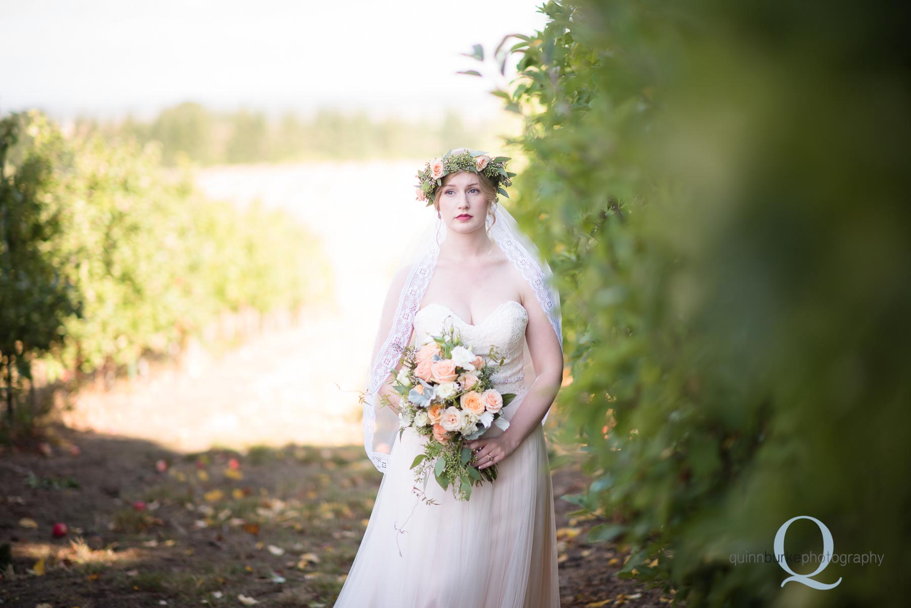 bride in apple orchard oregon wedding Perryhill Farm