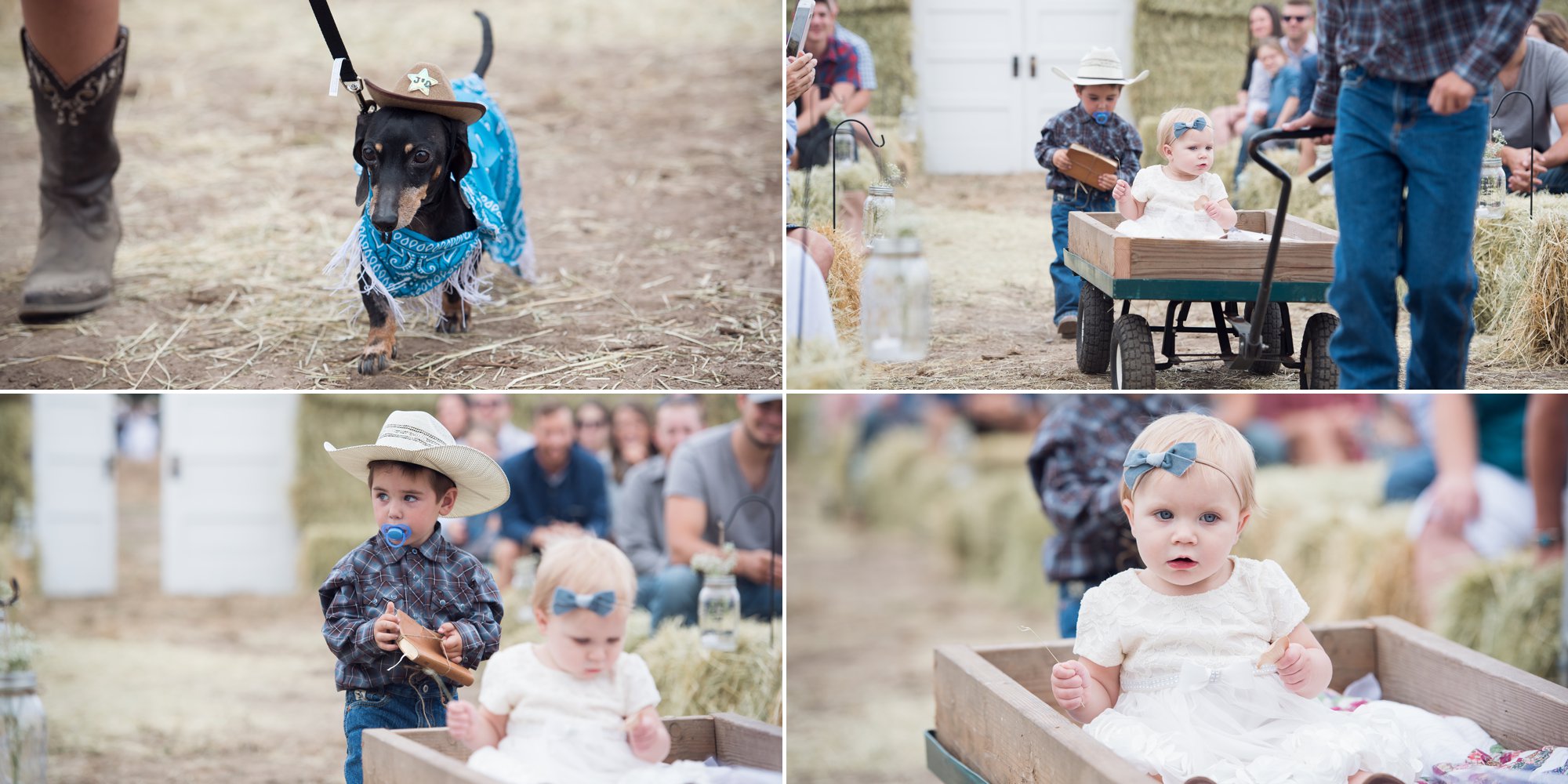 Country wedding jefferson oregon salem wedding photography