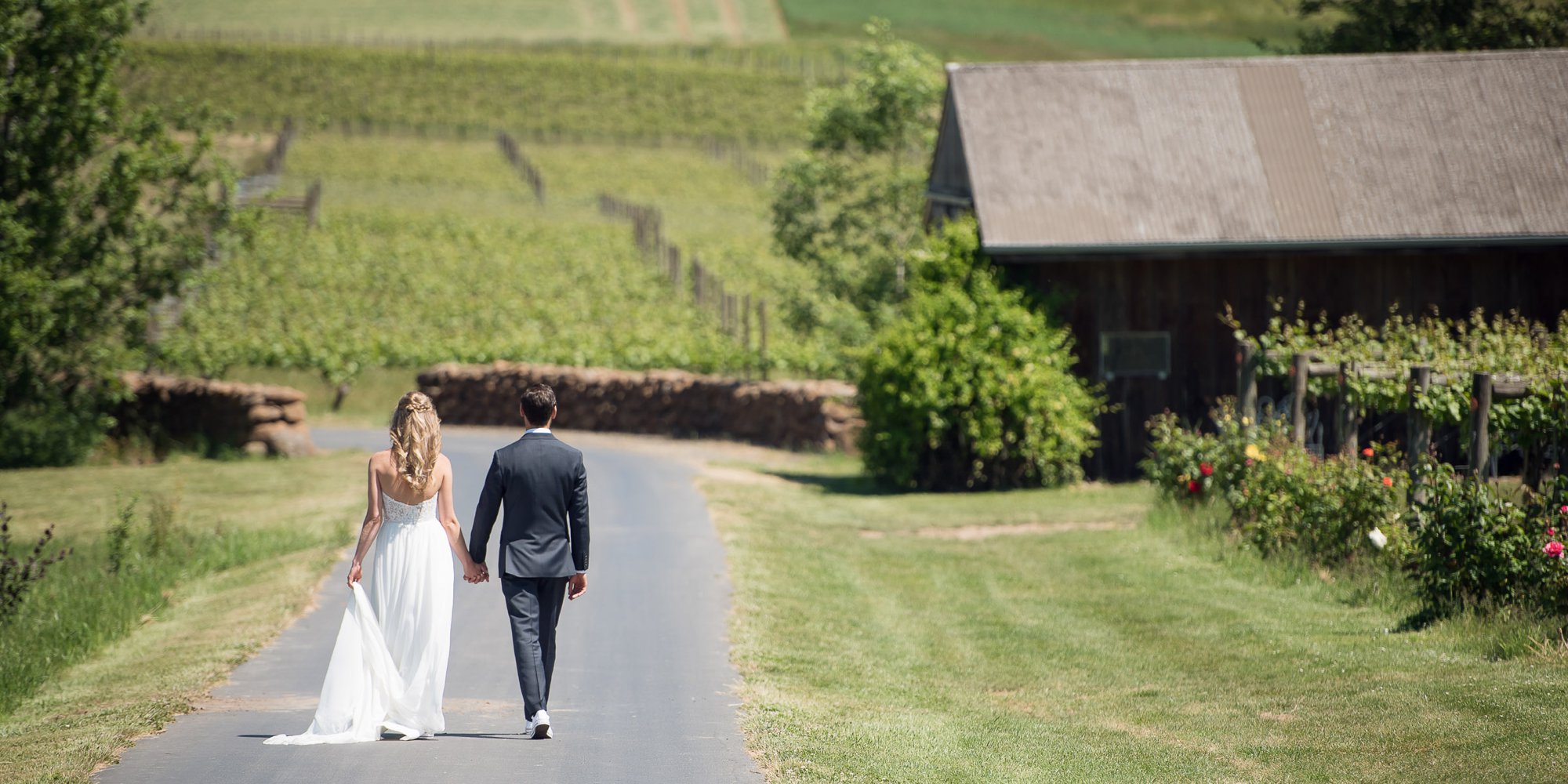 Zenith Vineyard Salem Oregon Wedding Wine Country