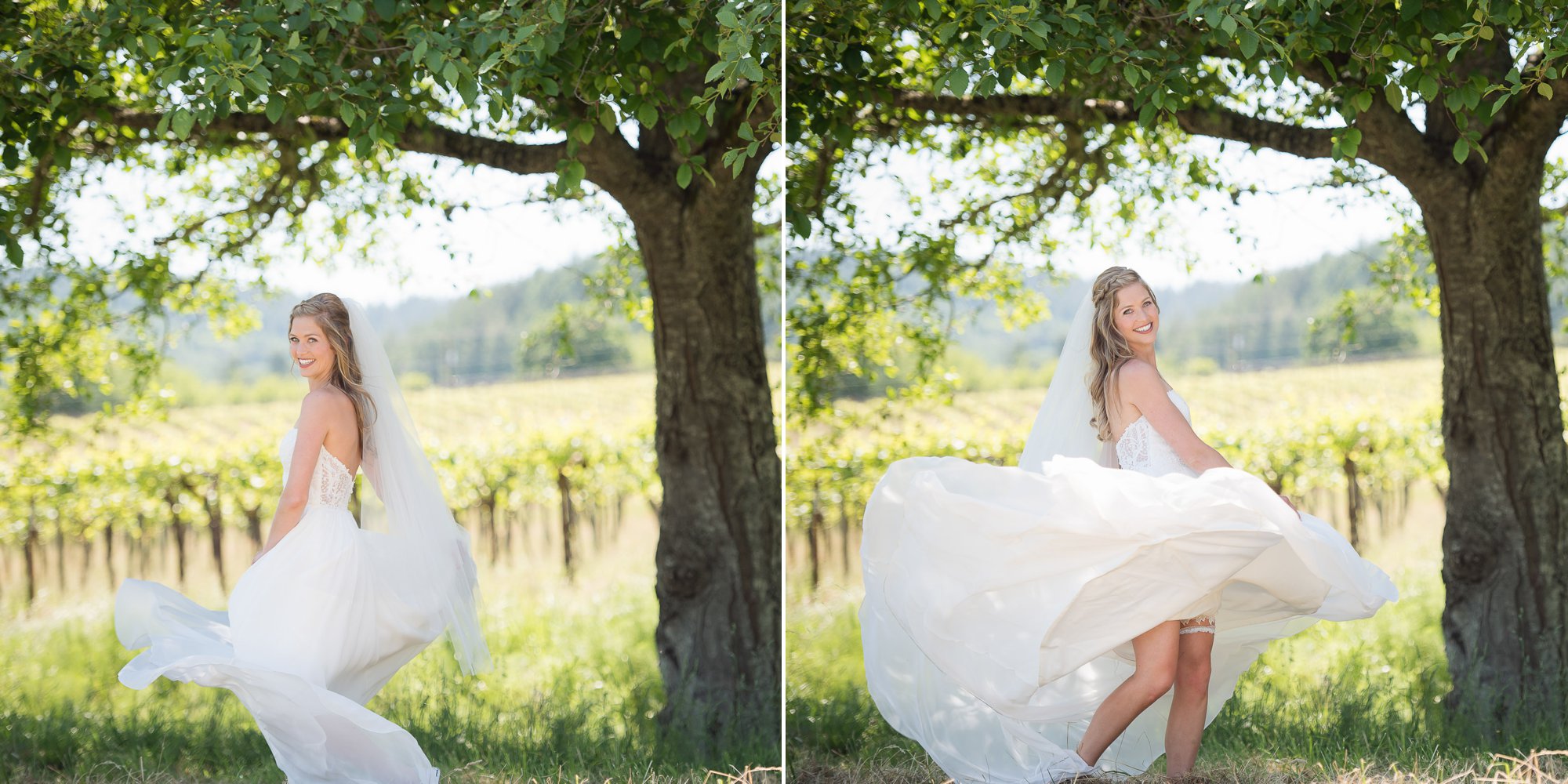 Zenith Vineyard Salem Oregon Wedding Wine Country