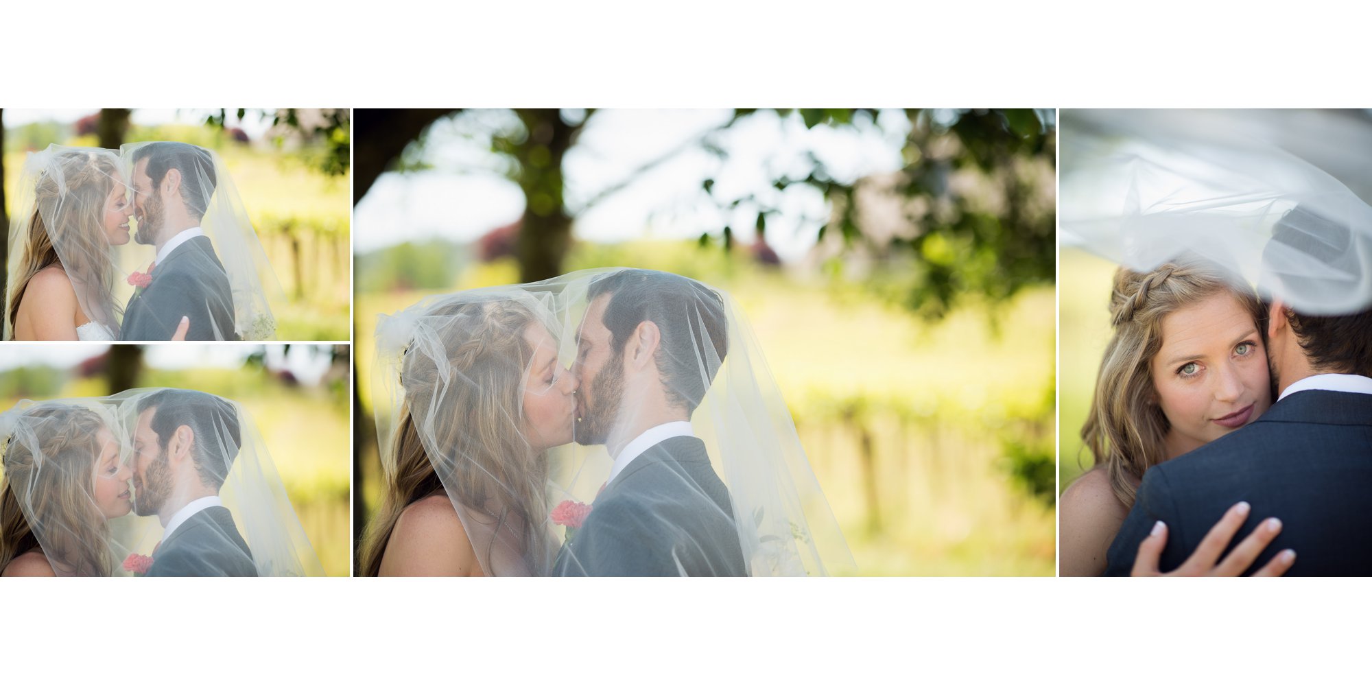 Zenith Vineyard Salem Oregon Wedding Wine Country